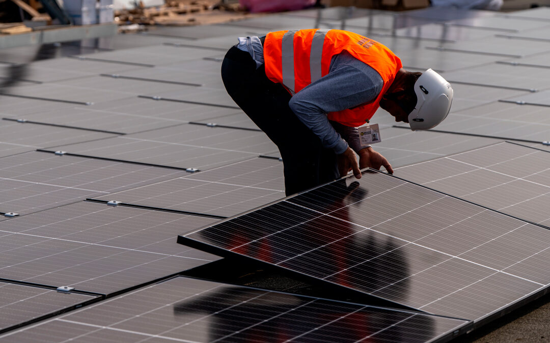Impianto fotovoltaico: quanto risparmiano le aziende?