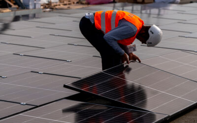 Impianto fotovoltaico: quanto risparmiano le aziende?