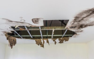 Infiltrazioni d’acqua nel luogo di lavoro: meglio intervenire subito